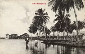 Images Dated 4th October 2016: Port Henderson (Portmore), Jamaica, West Indies