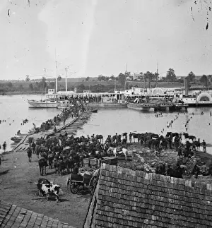 Pontoon Prints: Port Royal, Va. Transports being loaded from a pontoon bridg