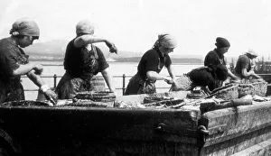Port St Mary Gutting Herring Isle of Man