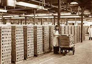 Bros Prints: Port Sunlight - soap stacked to dry - early 1900s