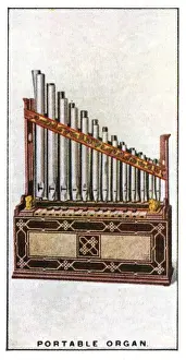 Portable Organ