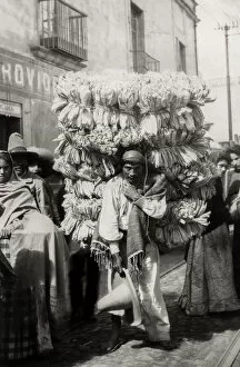 Porter carrying corn husks for Tamales, Mexico