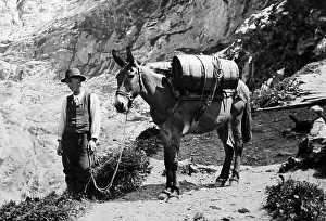 Climber Prints: A porter on a glacier, Grindelwald, Switzerland