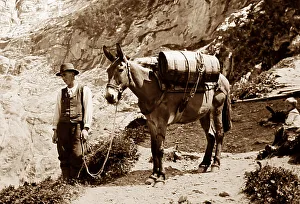 A porter on a glacier, Grindelwald, Switzerland
