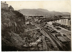 Images Dated 28th July 2016: Porthmadog from Belle Vue, Gwynedd, North Wales