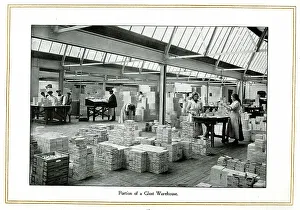 Storage Collection: Portion of a Glost Warehouse, Alfred Meakin