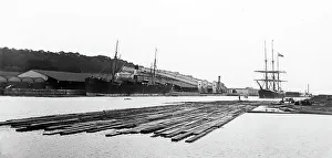 Portishead Prints: Portishead Dock near Bristol, Victorian period