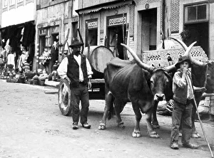 Porto Portugal in 1906