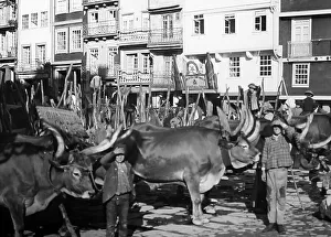 Porto, Portugal, early 1900s