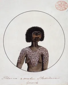 Portrait of an Aboriginal woman named Abbarroo, decorated fo Portrait of an Aboriginal woman named Abbarroo, decorated fo