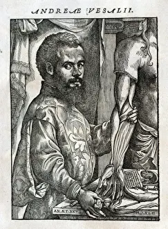 Andreas Prints: Portrait of Andreas Vesalius
