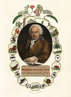 Mineralogy Prints: Portrait of Charles Bonnet, Genevan naturalist