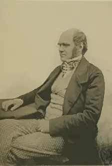 Darwin Prints: Portrait of Charles Darwin (1809-1882)