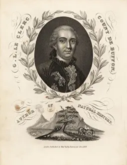 Concolor Prints: Portrait of Count Georges Buffon inside laurel garland