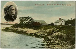 Stowe Prints: Portrait of Harriet Beacher Stowe - Home at Portland, Maine