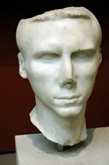 Brow Prints: Portrait head of a roman man