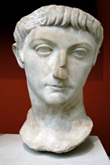 Portrait head from a statue of a prince of the Julio-Claudia Portrait head from a statue of a prince of the Julio-Claudia