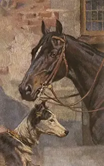 Portrait of a Horse and a dog