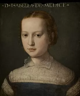 Curl Collection: Portrait of Isabella de Medici (1542-1576) by Agnolo