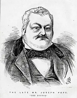Portrait, The Late Mr Joseph Pope, The Doctor