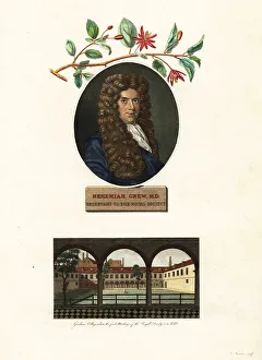Holborn Prints: Portrait of Nehemiah Grew, physician and botanist