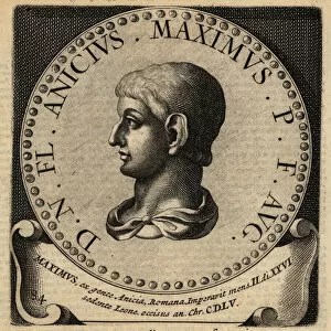 Roomsche Collection: Portrait of Roman Emperor Maximus