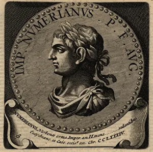 Bogaert Gallery: Portrait of Roman Emperor Numerian