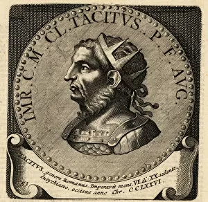 Roomsche Collection: Portrait of Roman Emperor Tacitus