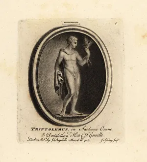 Wheat Prints: Portrait of Triptolemus, a warrior connected to Demeter