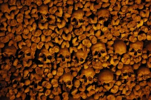 Images Dated 18th October 2006: Portugal. Evora. Chapel of Bones. Church of St. Francis. Wal