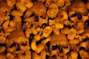 Images Dated 18th October 2006: Portugal. Evora. Chapel of Bones. Church of St. Francis. Wal