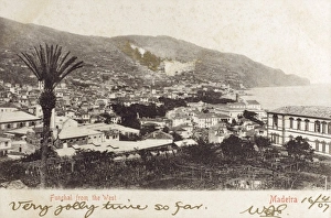 Images Dated 4th April 2011: Portugal - Madeira - Funchal
