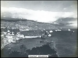 Madeira Prints: Portugal - The Town and Harbour, Funchal