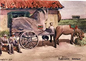 Commanding Collection: Portuguese Army mule cart en route through Erquinghem, WW1