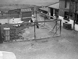 Images Dated 10th September 2012: Posh Boarding Kennel