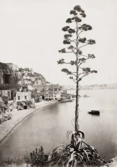 Transportation System Prints: Posilippo, Bay of Naples, Italy