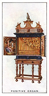 Positive Organ Positive Organ
