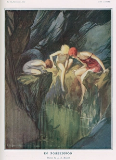 Bear Collection: In Possession. By A. E. Bestall