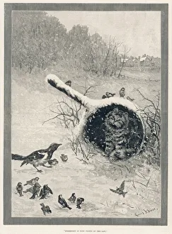 Including Collection: Possession is nine points of the law by Louis Wain