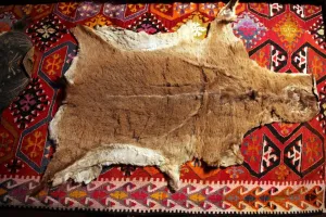Alevi Gallery: Post from Bektashi Meydan