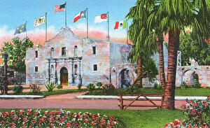 Flowerbed Collection: Postcard booklet, The Alamo, San Antonio, Texas, USA