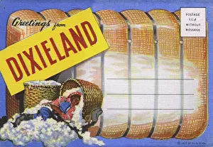 Agricultural Prints: Postcard booklet, Greetings from Dixieland, USA