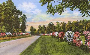 Highway Prints: Postcard booklet, highway in Dixieland, USA