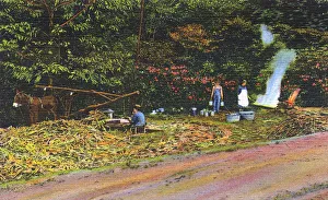 Piles Gallery: Postcard booklet, making syrup, Dixieland, USA
