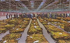 Dixieland Prints: Postcard booklet, selling bright leaf tobacco, USA