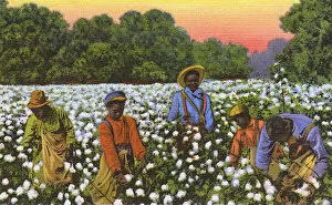 Sacks Collection: Postcard booklet, workers in the cotton fields, USA