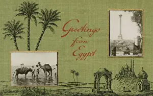 Postcard from Egypt