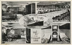 Antonia Gallery: Postcard of the RMS Antonia