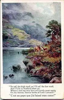 Sentimental Prints: Postcard, View of Loch Lomond, Scotland Date: early 20th century