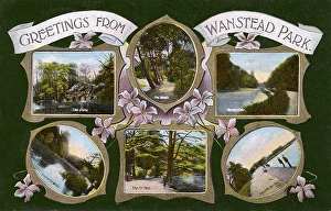 Images Dated 5th January 2016: Postcard of Wanstead Park